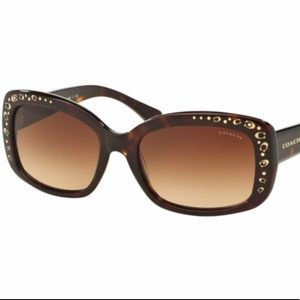 Coach HC8161 L146 Sunglasses